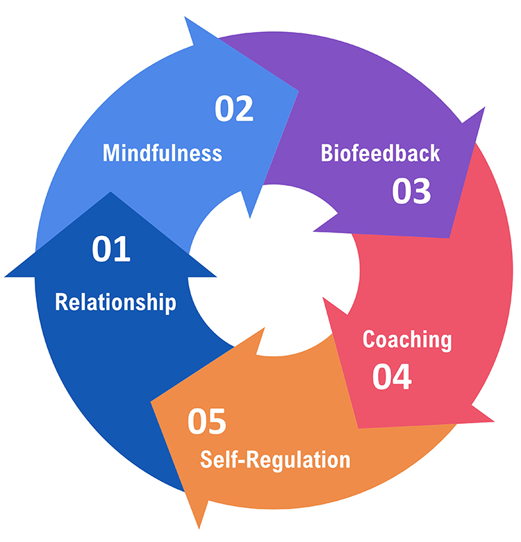 Core elements of biofeedback diagram