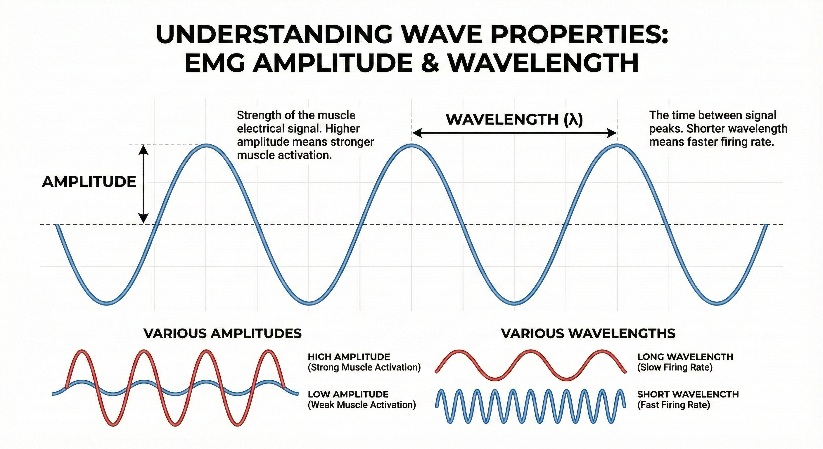 Amplitude and wavelength