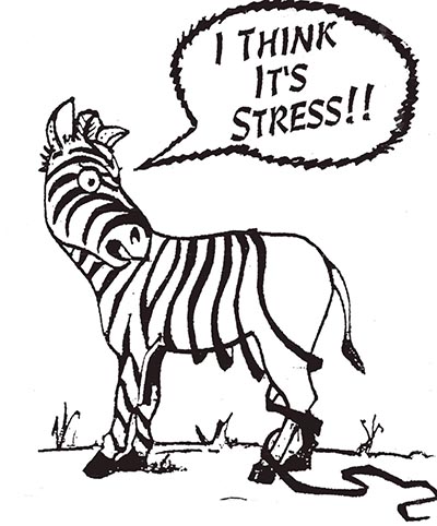Stressed zebra illustration