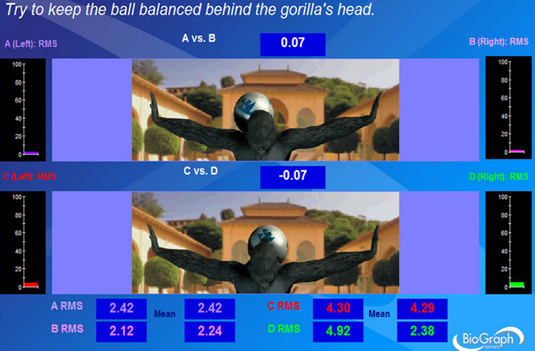 Digital feedback display
