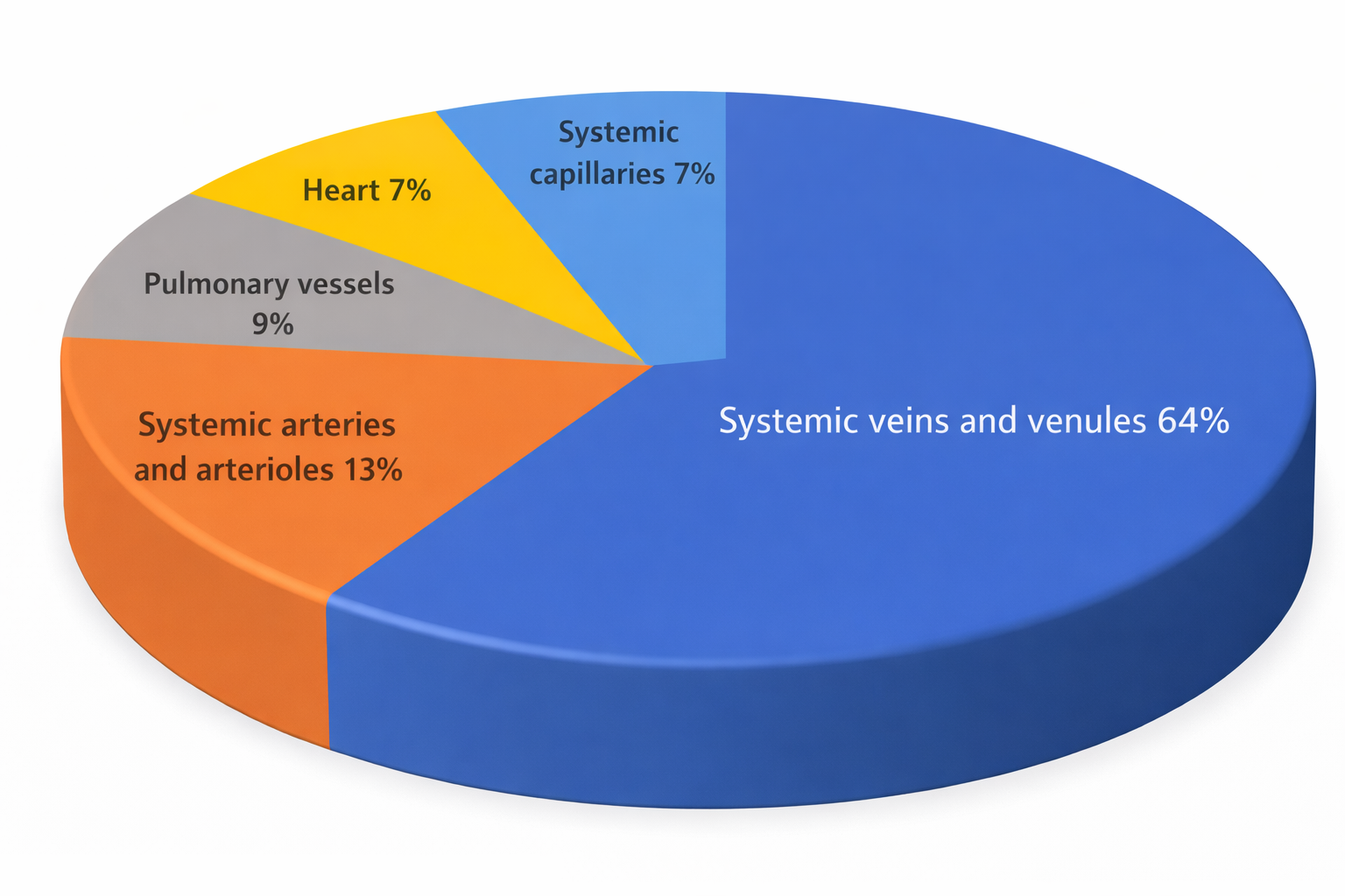 Blood distribution at rest