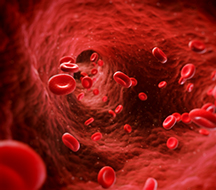 Biofeedback Tutor Banner