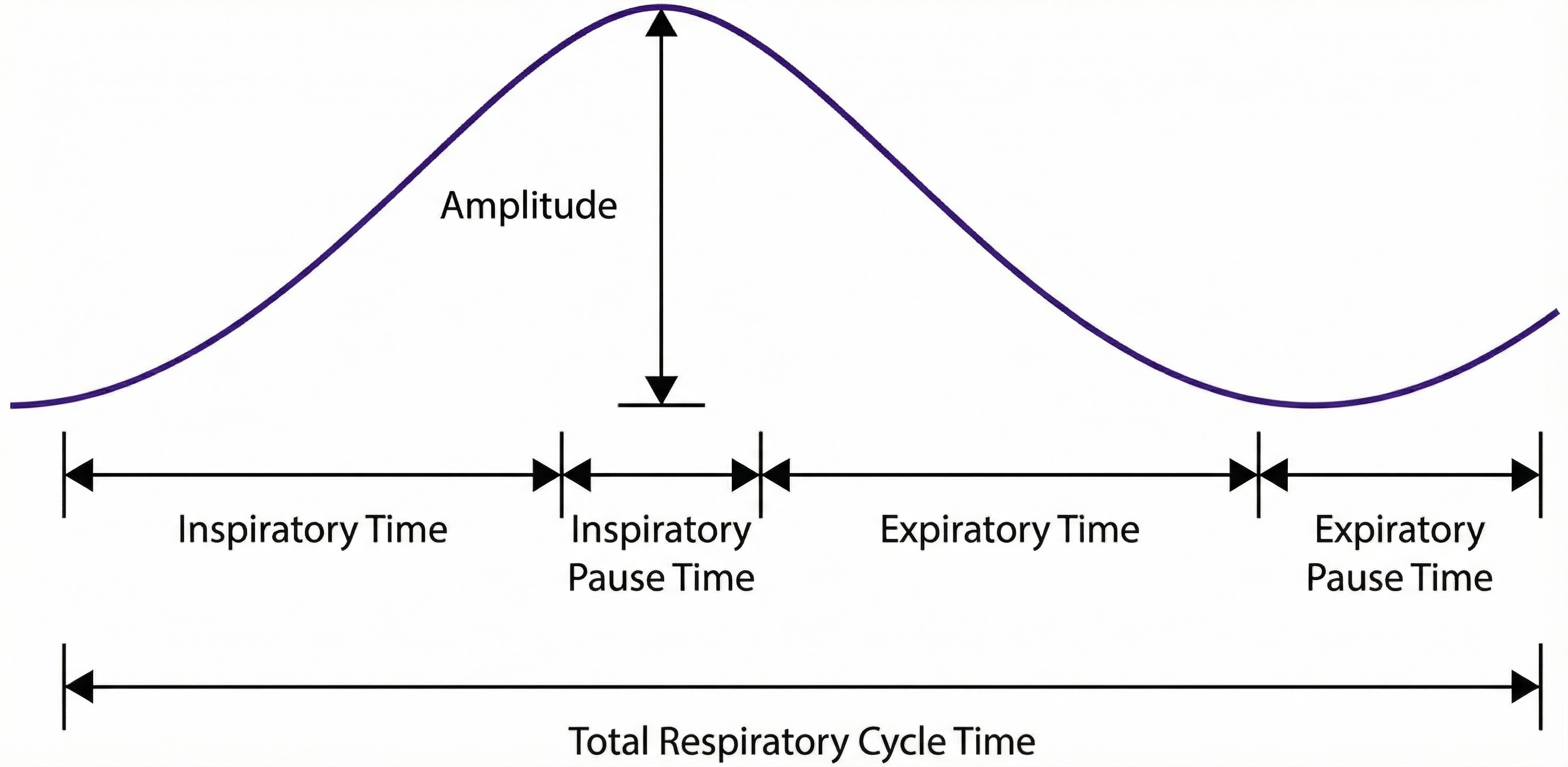 Respiration cycle