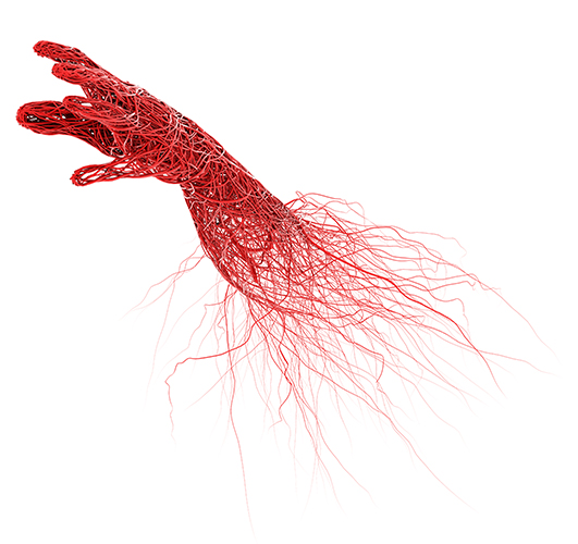 Blood vessels in the hand