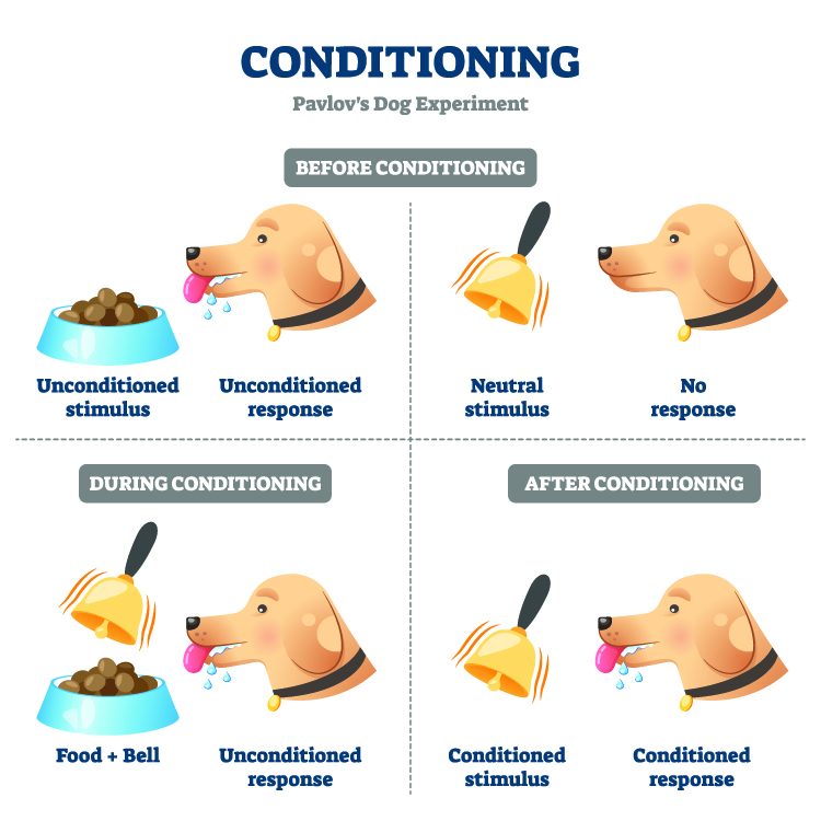 Classical conditioning diagram