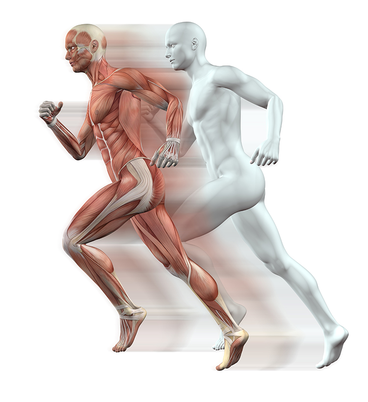 Runner demonstrating unconscious muscle control