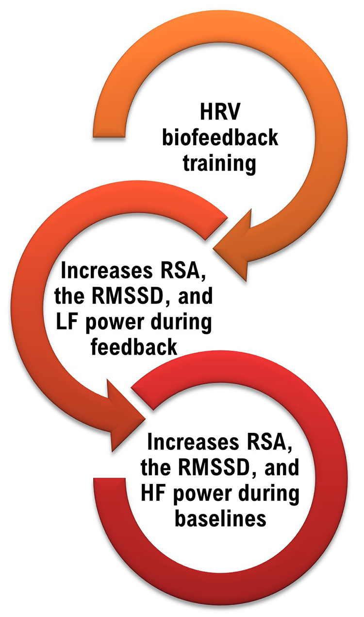 HRV changes during training