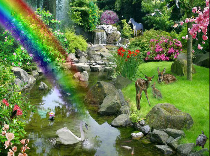 HeartMath Garden Game