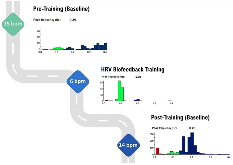 Spectral plots across training