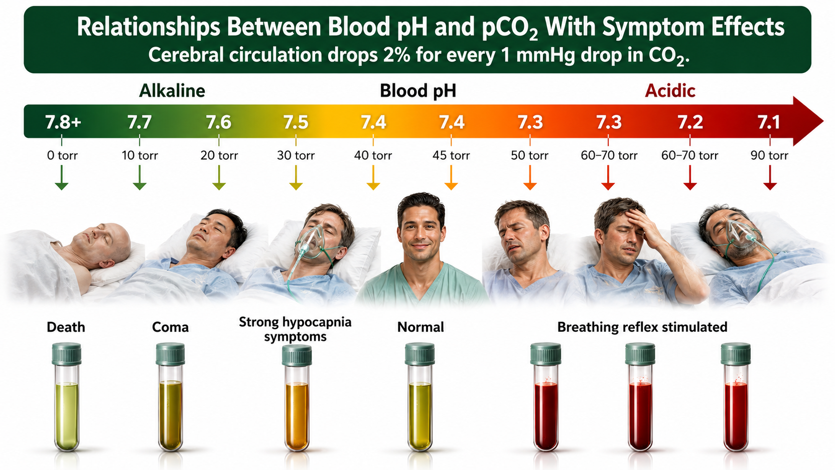 Blood pH and PCO2 table
