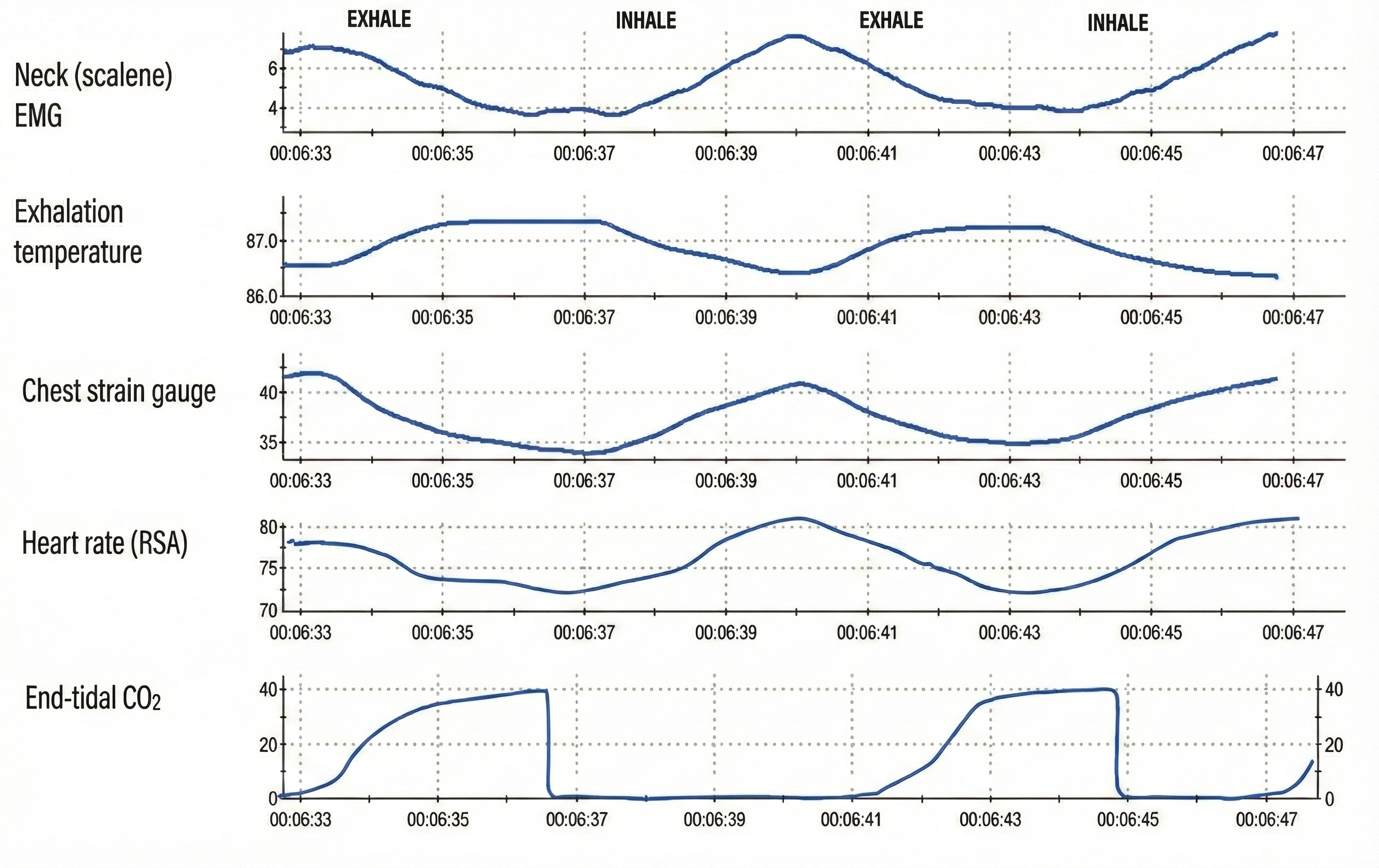 Five breathing channels display