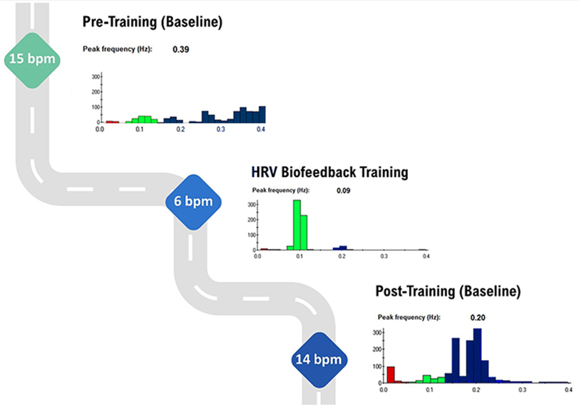 Spectral plots showing HF power across training