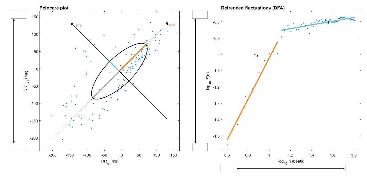 Kubios nonlinear analysis plots