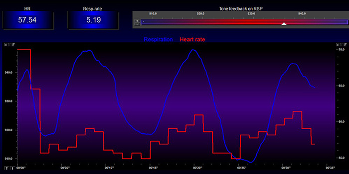 HRV training display