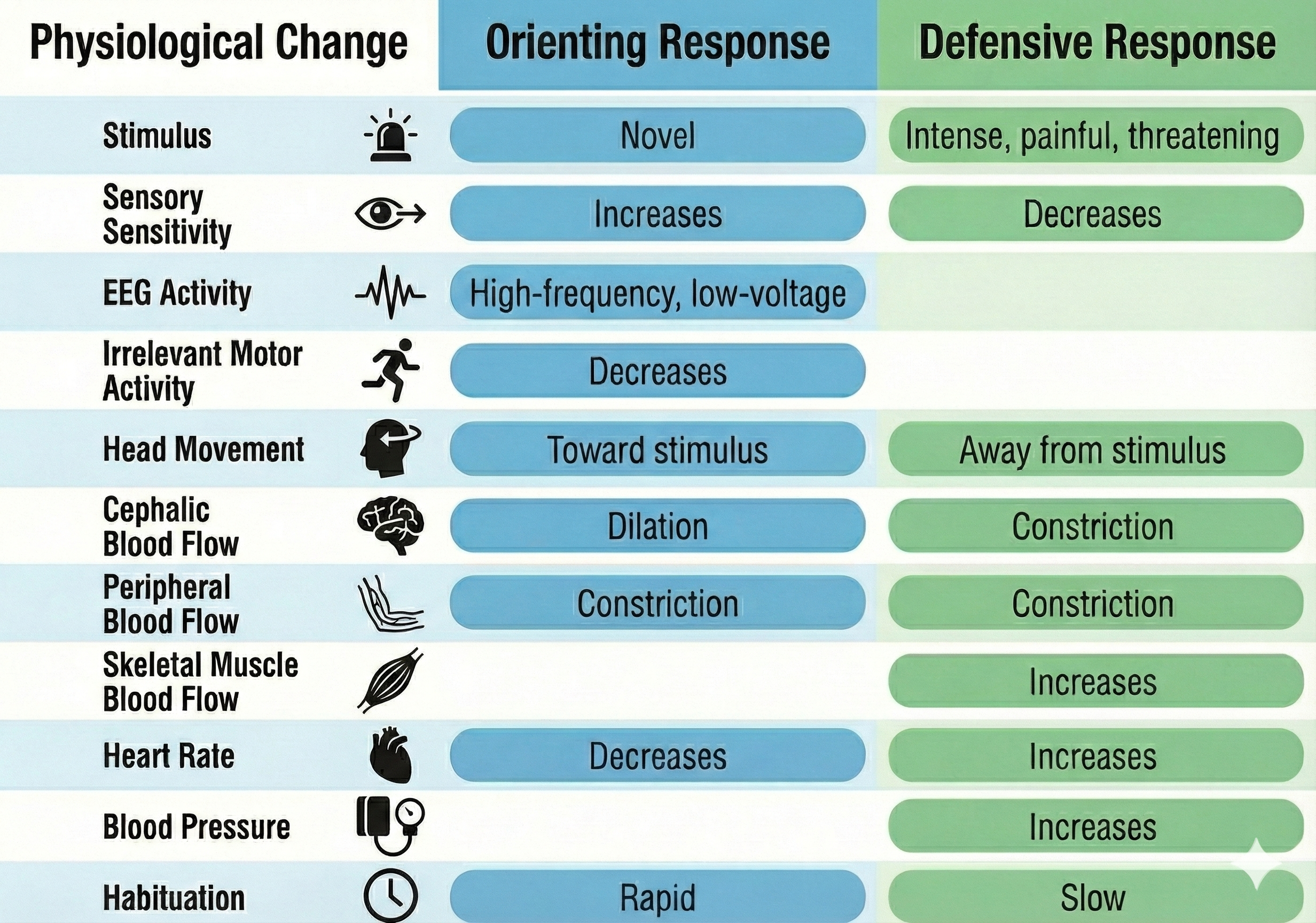 Comparison of orienting and defensive responses
