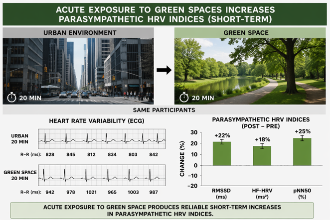 Acute green space exposure increases parasympathetic HRV