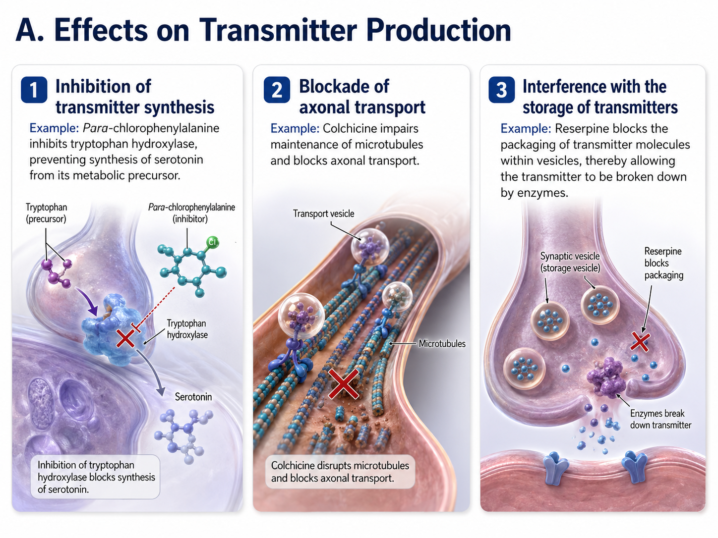 Drug effects on NT production