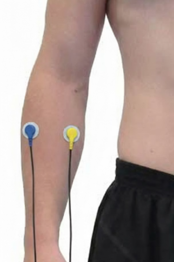 EMG sensor placement over forearm extensors and flexors