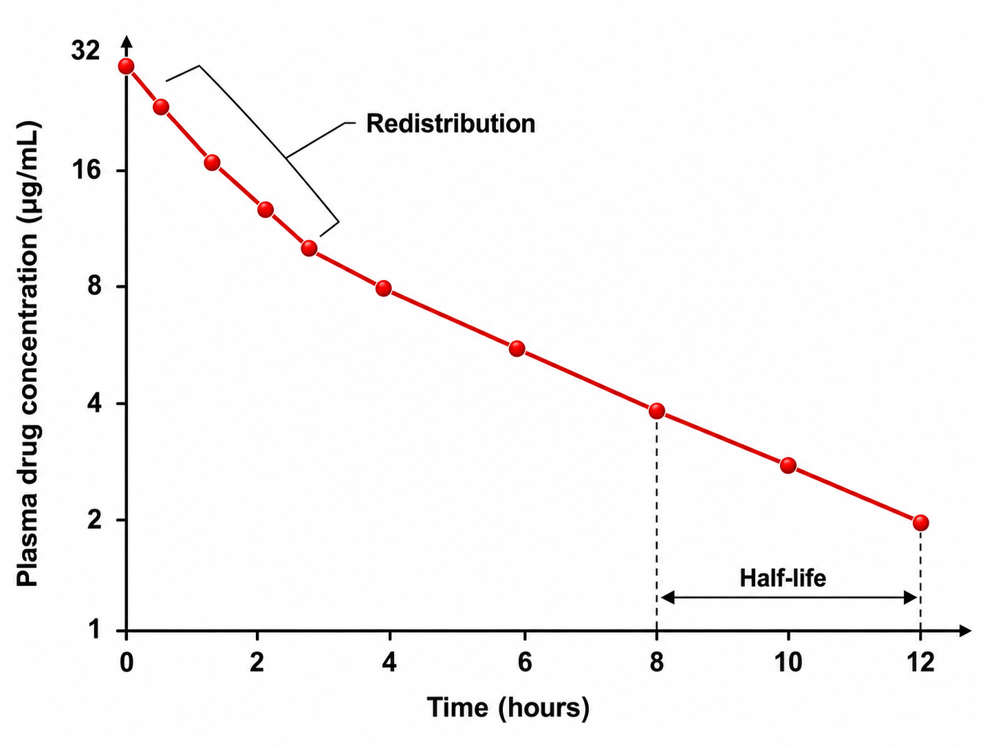 Drug half-life graph