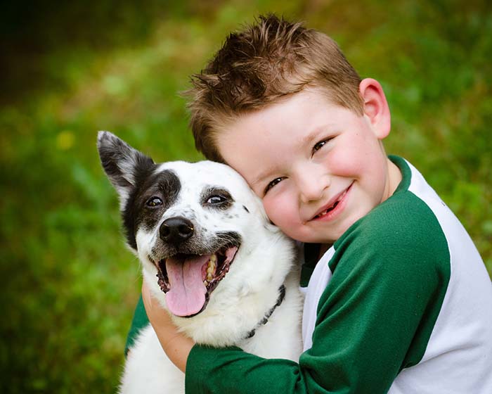 Person spending quality time with a canine friend