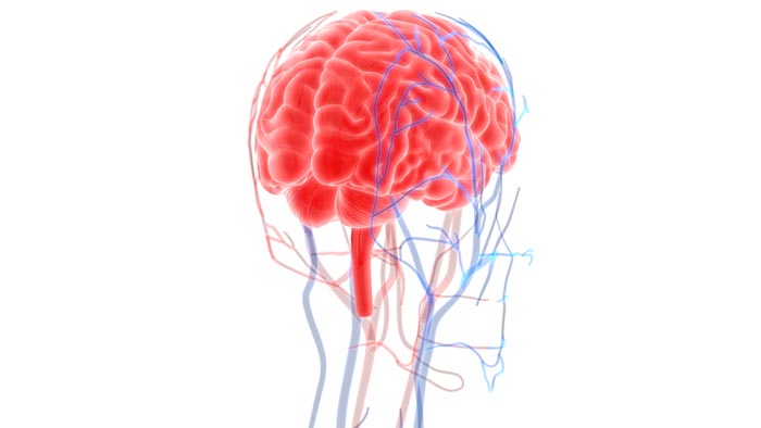 Illustration of neurons and their electrical signaling affected by ion movement