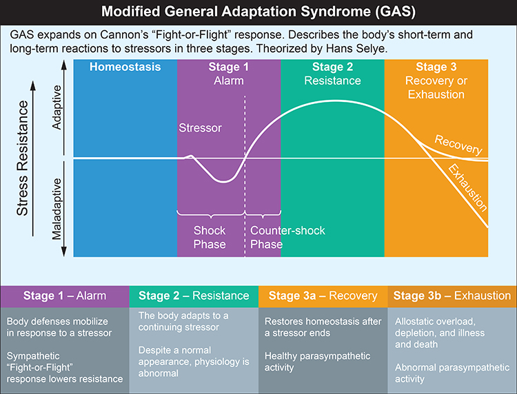 General Adaptation Syndrome