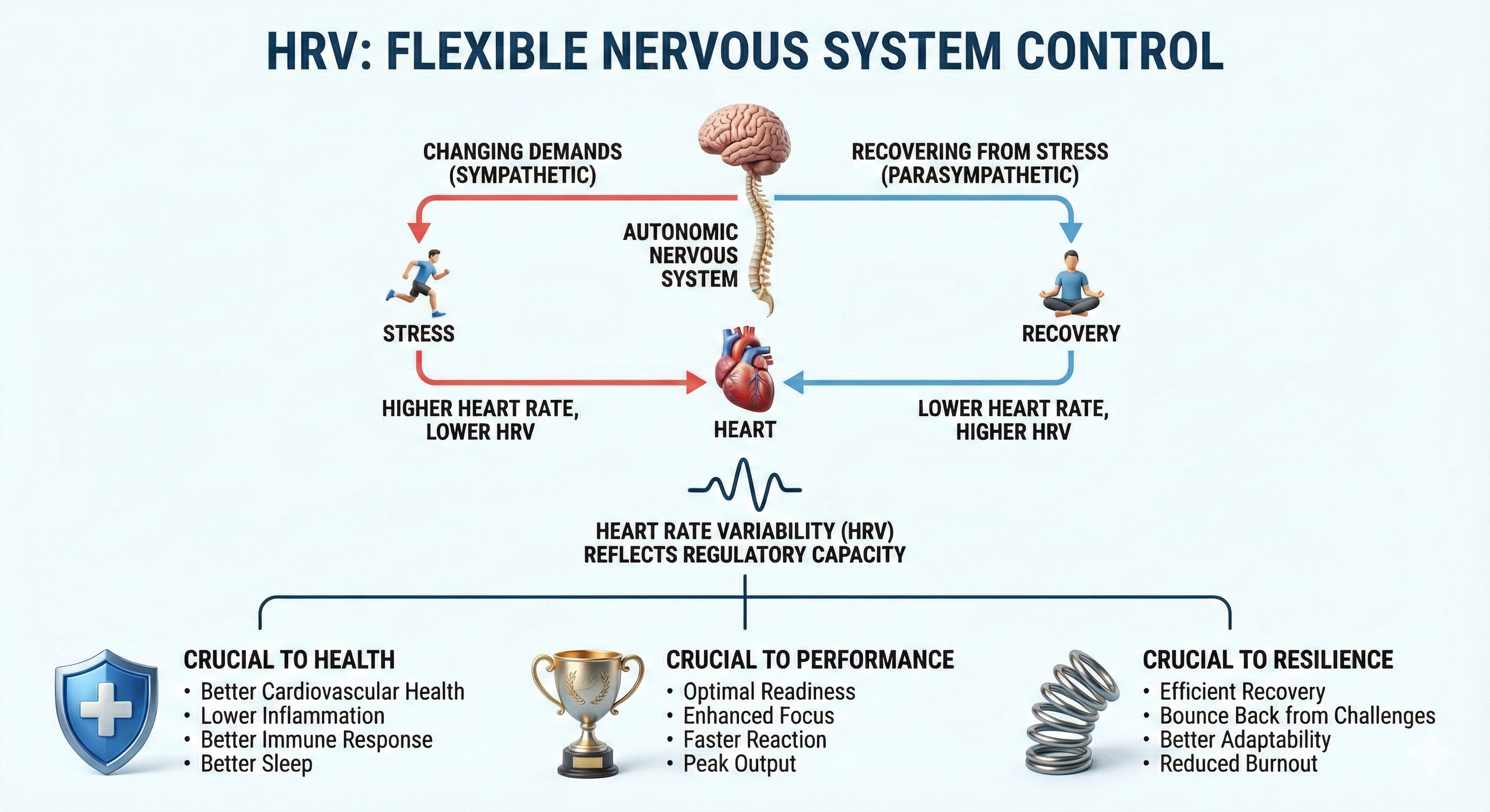 Heart rate variability tachogram