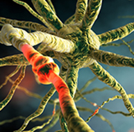Neurofeedback Tutor Banner