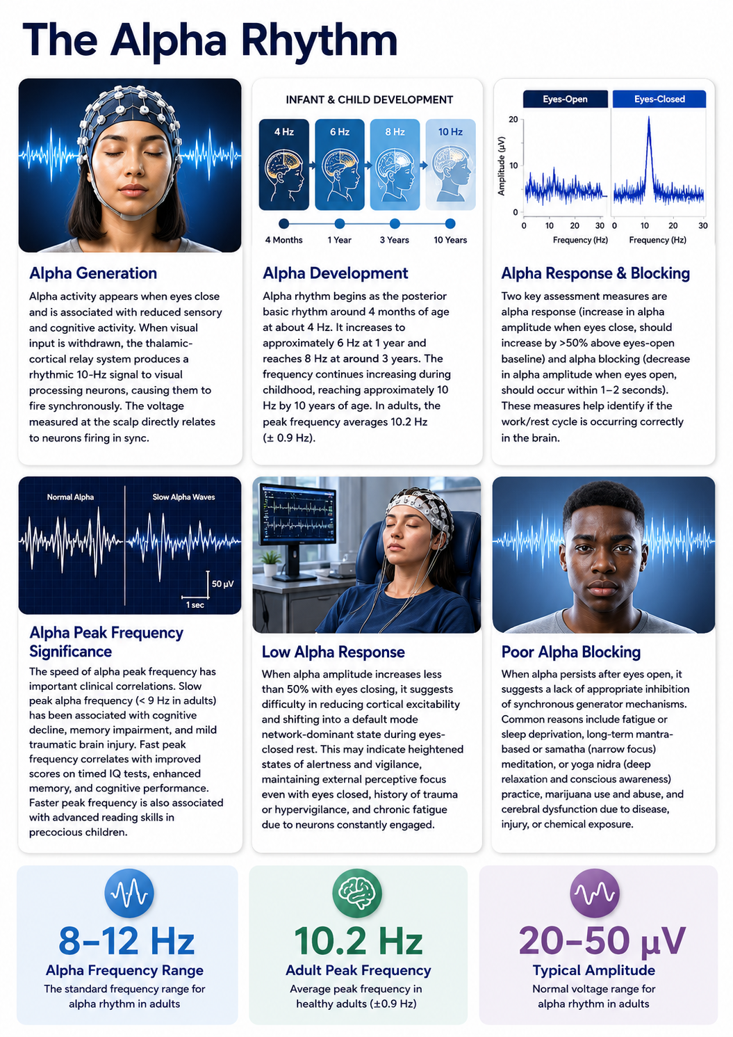 Infographic summarizing the alpha rhythm, its peak frequency, the alpha response, and alpha blocking