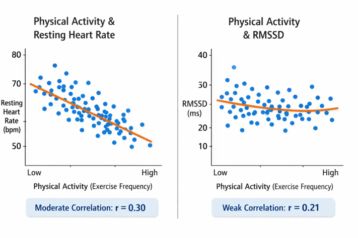 Correlation between physical activity and heart rate