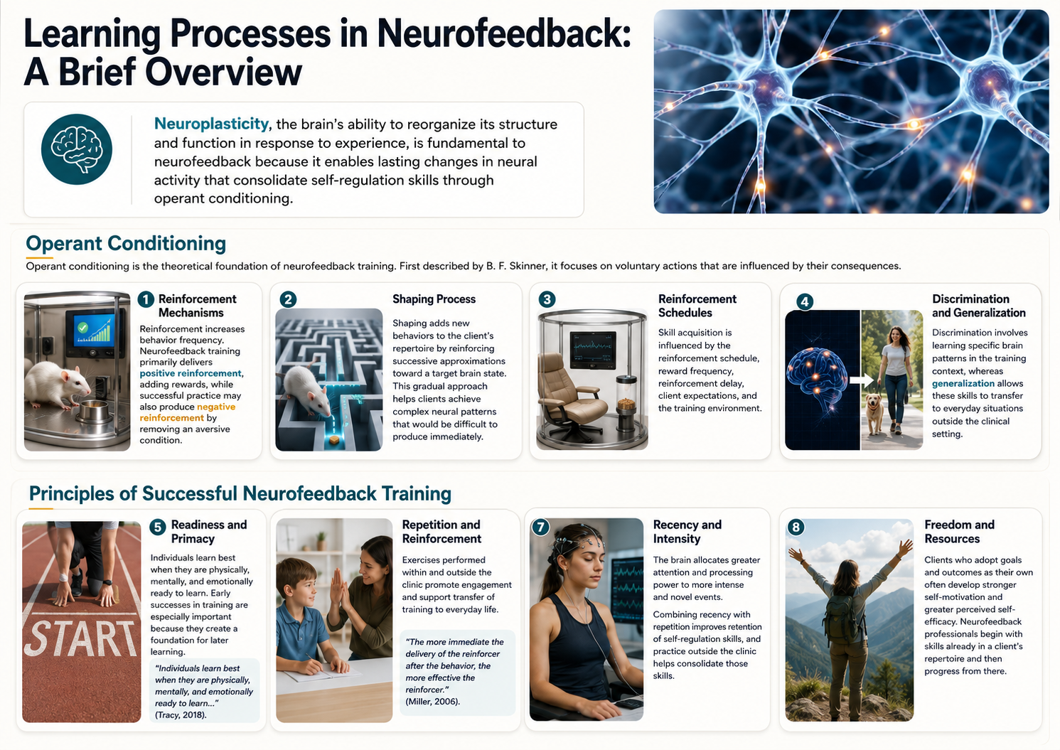 Learning processes in neurofeedback overview