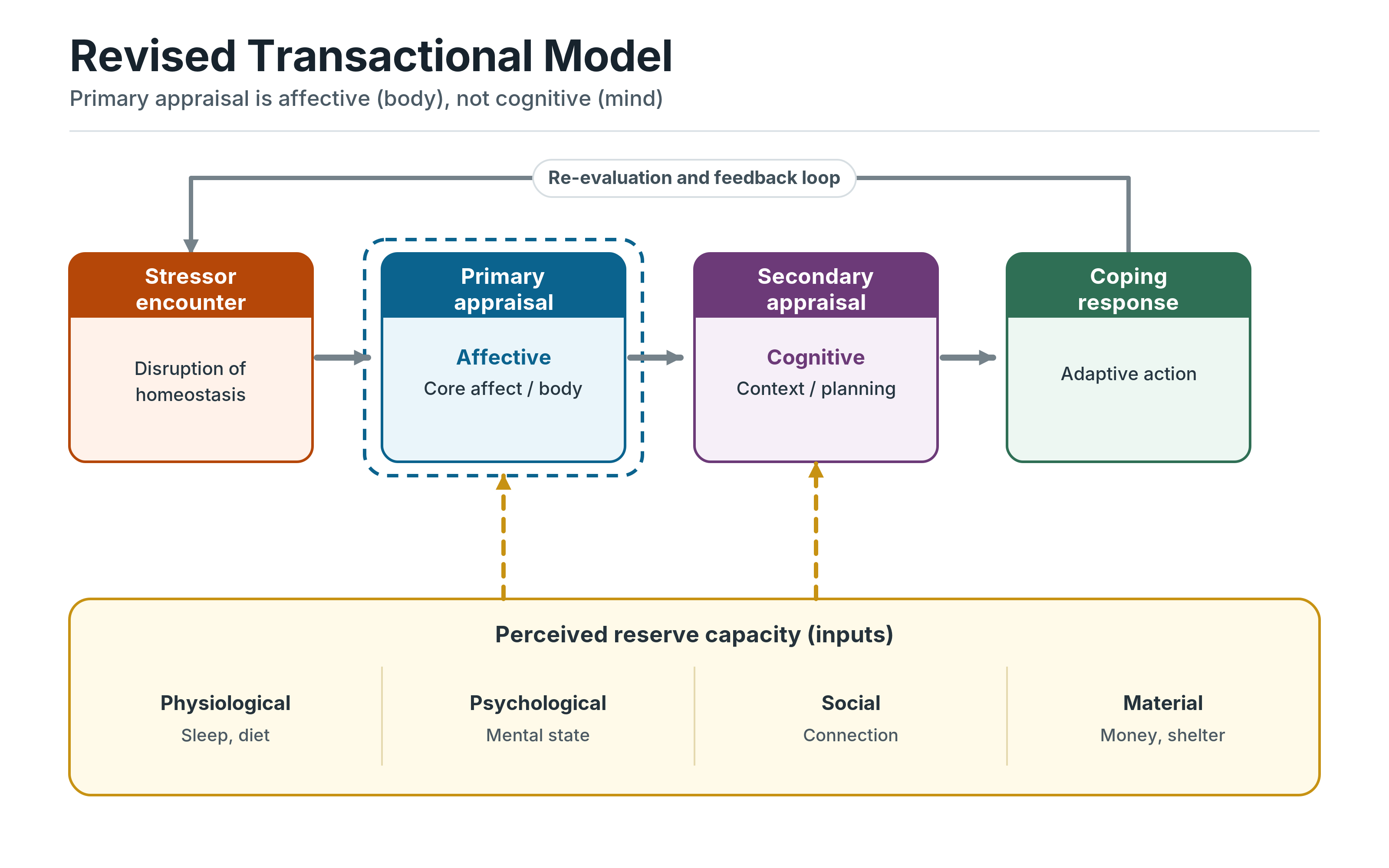 Diagram of Steffen and Anderson's revised transactional model