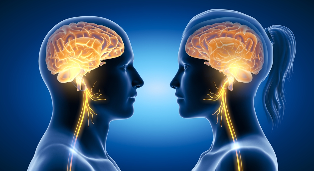 Illustration of vagus nerve connections