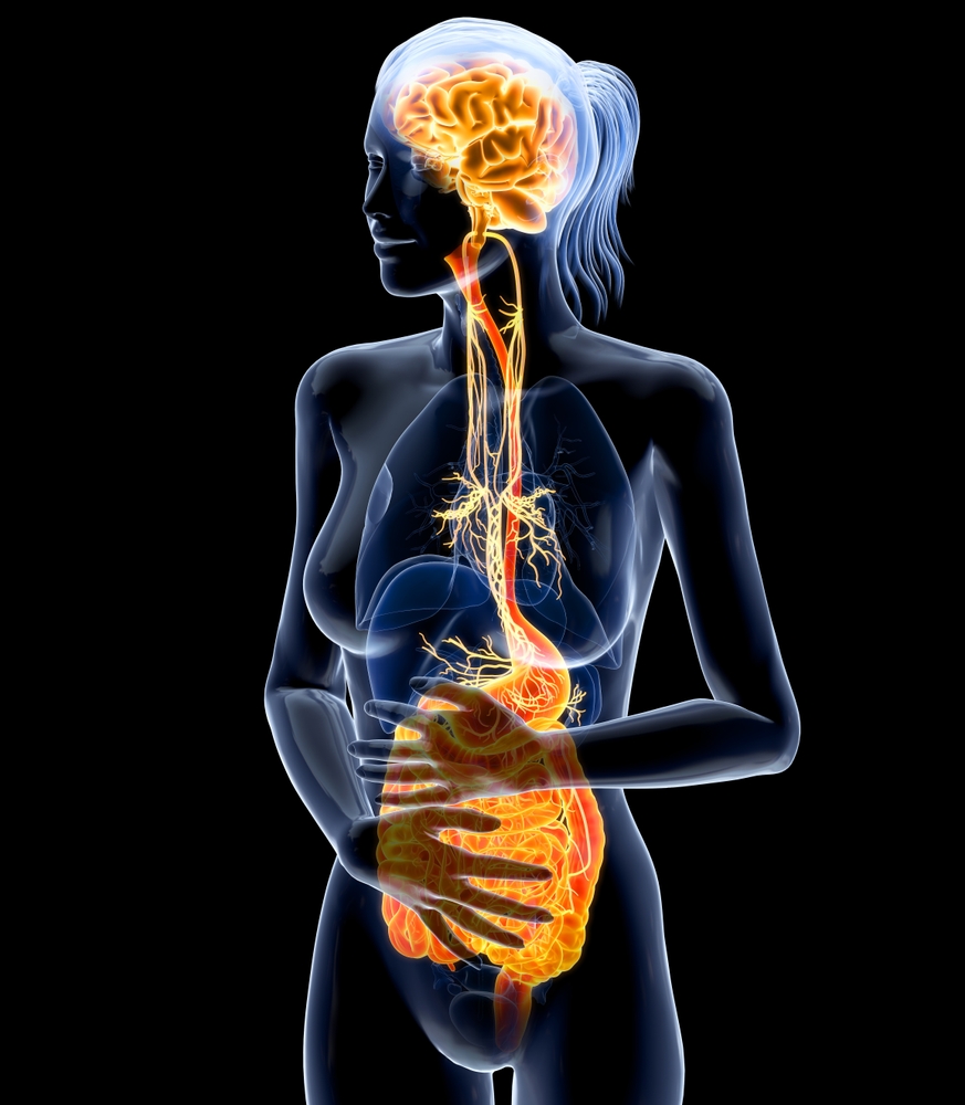 Gut-brain axis
