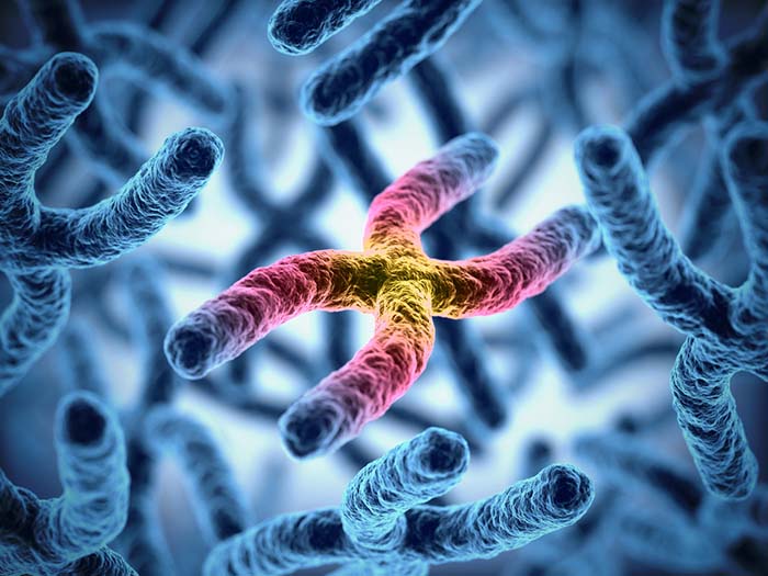 Telomere shortening