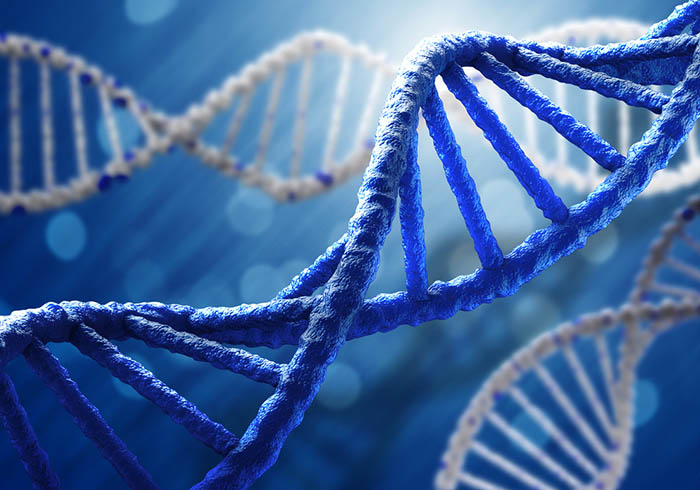 DNA and epigenetics