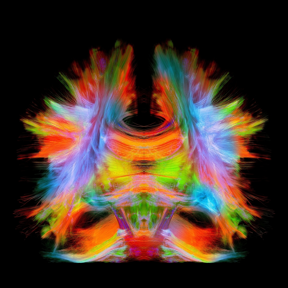 Connectome illustration