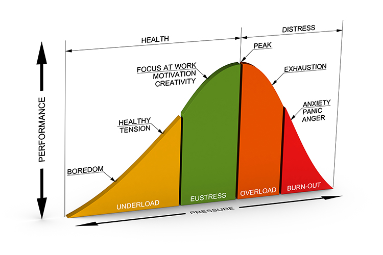 Yerkes-Dodson curve