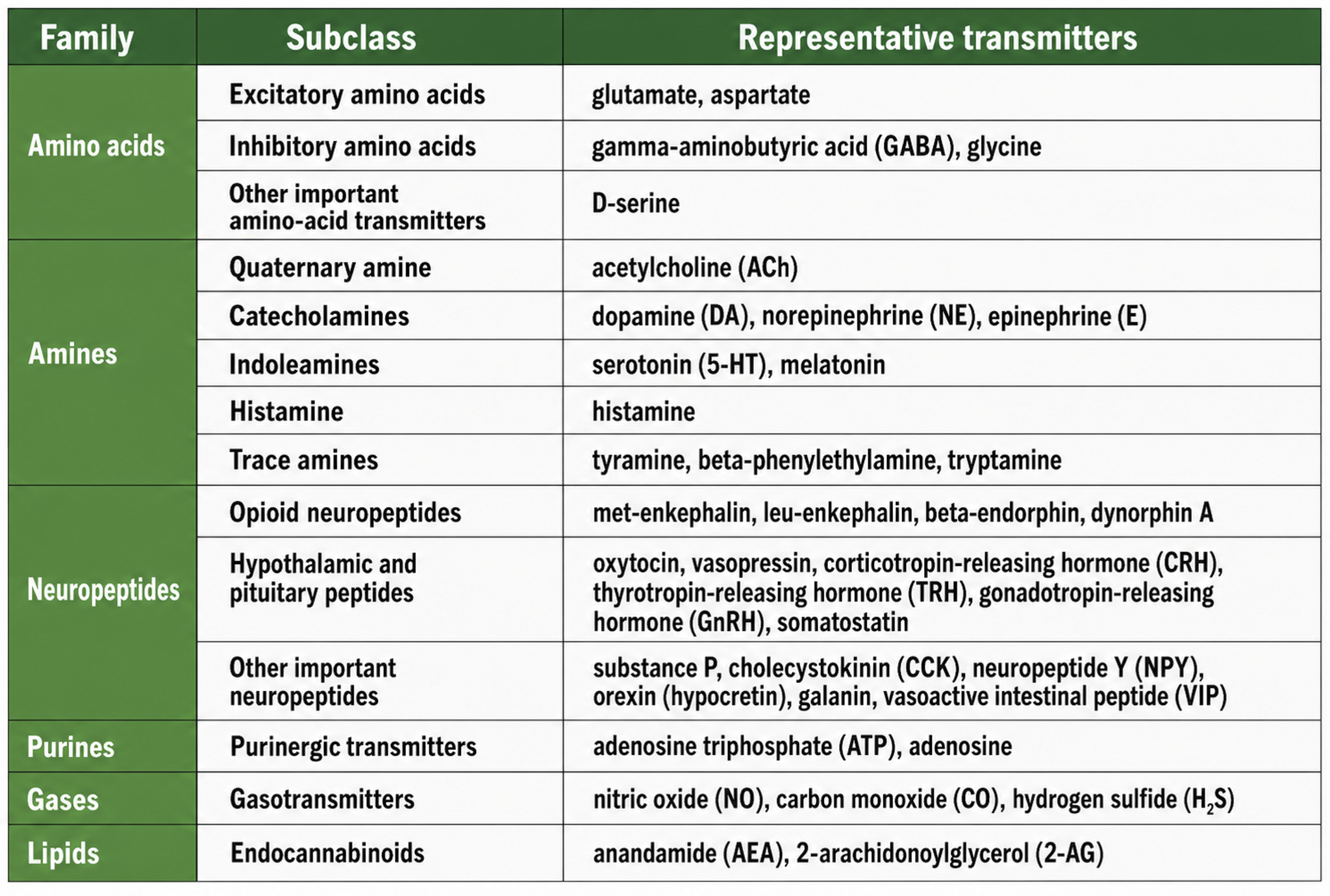 Table of neurotransmitter classes and examples