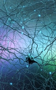 qEEG Tutor banner